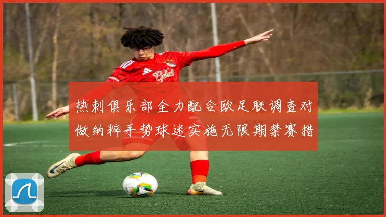 热刺俱乐部全力配合欧足联调查对做纳粹手势球迷实施无限期禁赛措施