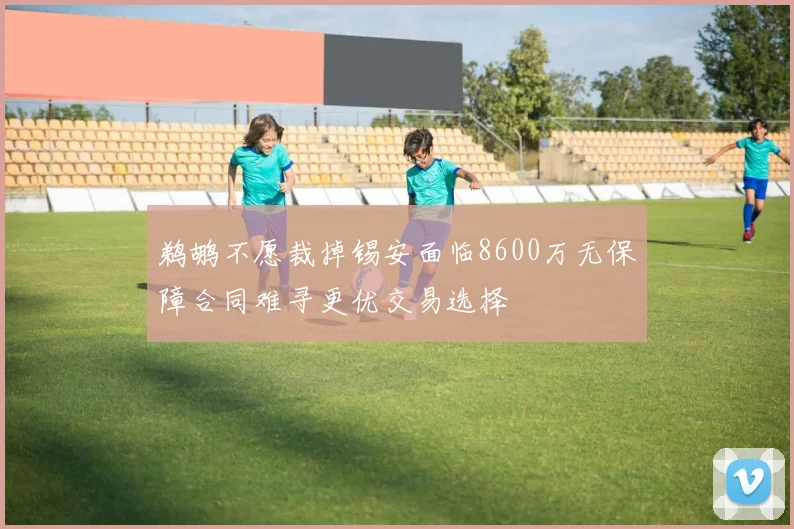 鹈鹕不愿裁掉锡安面临8600万无保障合同难寻更优交易选择