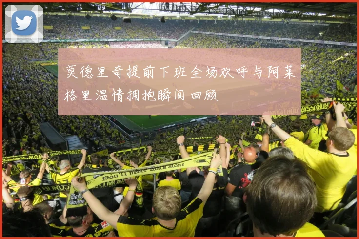莫德里奇提前下班全场欢呼与阿莱格里温情拥抱瞬间回顾
