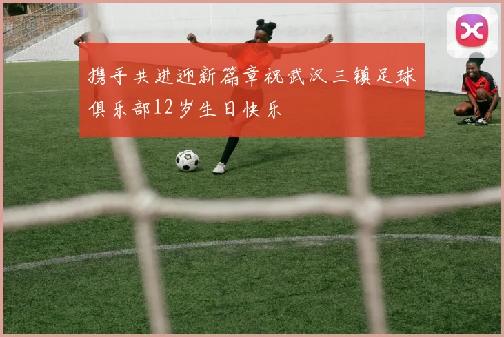 携手共进迎新篇章祝武汉三镇足球俱乐部12岁生日快乐